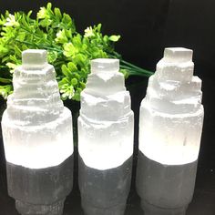 three white vases sitting on top of a table next to a green plant in the background