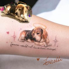 a dog is laying down on the ground next to a woman's arm with a tattoo