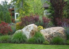 a large rock sitting in the middle of a lush green yard