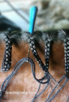 a close up of a horse's braids on its back with a toothbrush in it