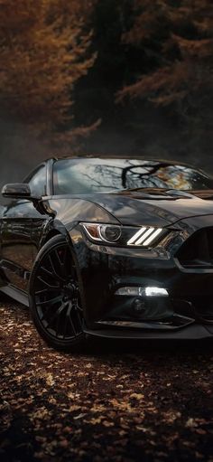 the front end of a black mustang car parked on top of a forest filled with leaves