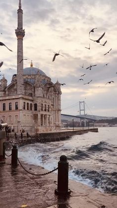 seagulls flying around an old building near the water