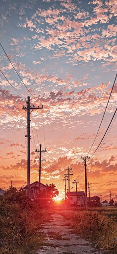 the sun is setting behind power lines and telephone poles in an area with tall grass