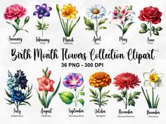 a bunch of flowers that are in different colors and sizes, with the words bath month flowers