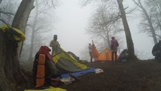 people camping in the woods on a foggy day with tents and backpacks set up