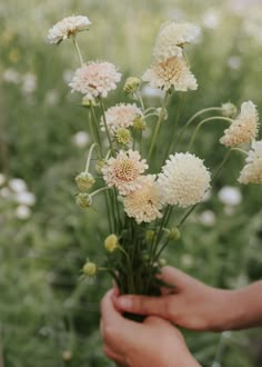 a person holding flowers in their hands on a field with other plants and grass behind them