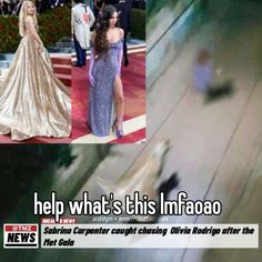 an image of people on the red carpet with caption that reads help what's this imagoo?