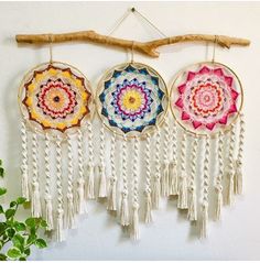 three colorful handmade dream catchers hanging on a wall next to a tree branch