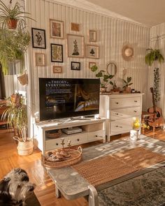 a living room filled with furniture and lots of plants on the wall above it is a flat screen tv