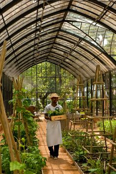 a man holding a box full of plants in a greenhouse