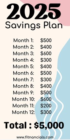 the financial savings plan is shown in black and white