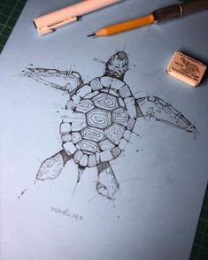 a pencil drawing of a turtle on paper next to some markers and a piece of wood