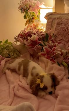 a small dog laying on top of a bed covered in pink blankets next to flowers