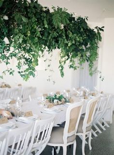 an instagram page with a table and chairs in the center, surrounded by greenery