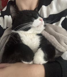 a black and white cat laying on someone's lap