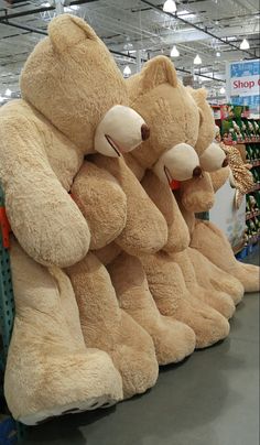 large stuffed teddy bears are lined up in a store