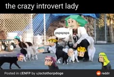 Enfp Problems, Type Infp, Intj Personality, Original Memes, Infj T