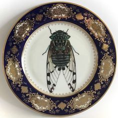 a plate with a bug painted on the front and side in blue, gold and white