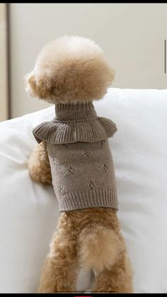 a teddy bear wearing a sweater sitting on a pillow