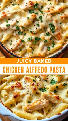 chicken alfredo pasta in a white casserole dish with cheese and parsley on top