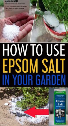 how to use epsom salt in your garden