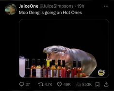 an animal with its mouth open standing in front of many bottles of oil and condiments