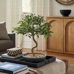 a bonsai tree in a black tray on a coffee table next to a couch