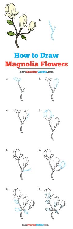 how to draw a flower with step by step instructions