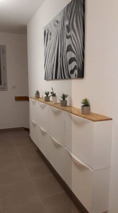 a white wall with two planters on it and a zebra painting above the counter