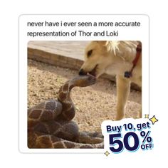 an image of a dog and a snake with caption that reads, never have ever seen a more accurate representation of thor and loki