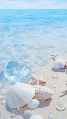 seashells and starfish on the beach with blue water