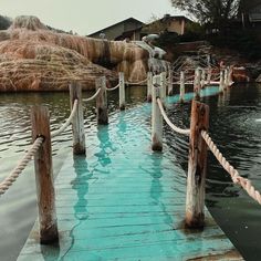 a wooden dock with ropes connected to the water and rocks in the background at an amusement park