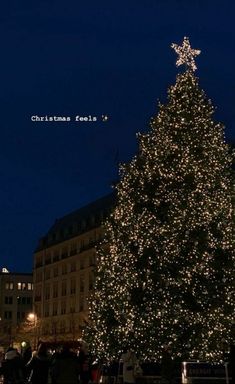 a large christmas tree is lit up at night