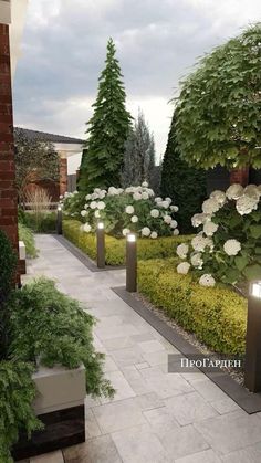 an outdoor garden with white flowers and trees