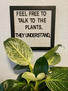 there is a sign that says, feel free to talk to the plants they understand