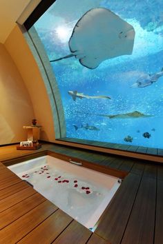 a large aquarium with fish swimming in it's water and on the floor is a bathtub