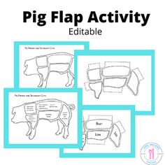 the pig flap activity is shown here