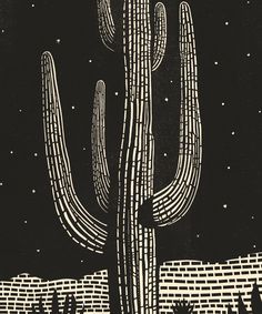 a black and white drawing of a cactus in the night sky with stars above it