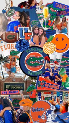 collage of florida gators and football fans