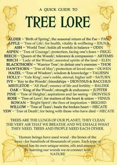 the tree lore is written in an old style with leaves and other things on it