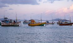 there are many boats in the water near each other on the ocean shore at sunset