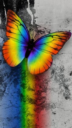 a colorful butterfly sitting on top of a rainbow colored wall with the colors being added to it's wings