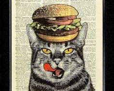 a cat with a hamburger on top of it's head, sitting in front of an open book page