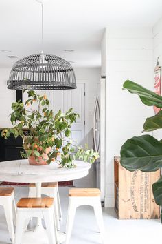 a white table and some plants in a room