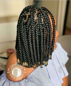 Box Braids Hairstyles For Black Women, Natural Hair Twists