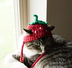 a cat is wearing a crocheted hat while sitting on a window sill