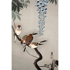 Ring sparrows at wisteria Poster Print by Ohara Koson-VARPDX55170 Image 1 Japanese Bird, Eclectic Gallery Wall, Ohara Koson, Japanese Woodblock, Sparrows, Art Japonais, Japanese Woodblock Printing, Garden Wall Art, Deco Floral