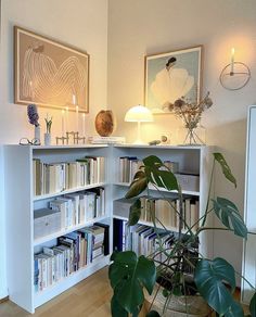 a living room with bookshelves and plants in the corner next to it on a hard wood floor