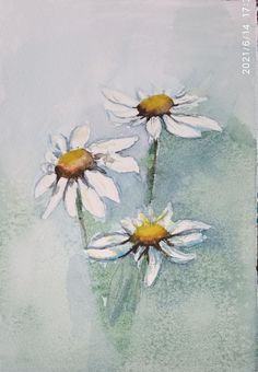 three white daisies in a vase with watercolors on the paper behind them