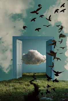 an open door leading to a sky filled with birds flying in and out of it